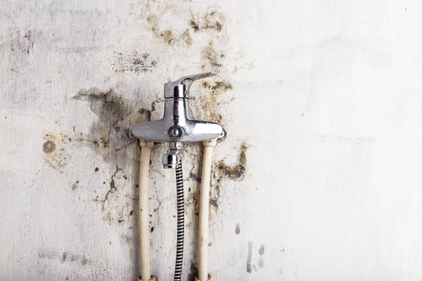 Professional Mold Removal in Penn Yan, NY