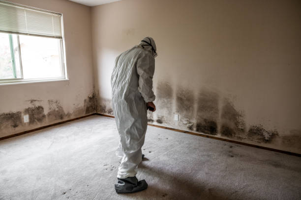 Best Mold Testing  in Penn Yan, NY